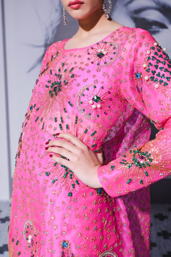 Diva Pink Embellished Organza Maxi Dress - Image 2