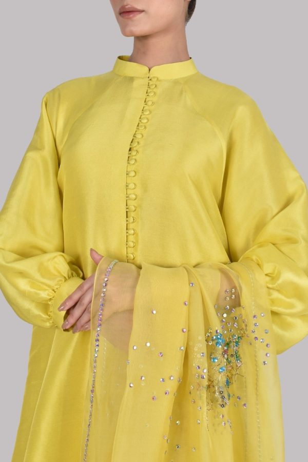 Aurora Yellow Embellished Raw Silk Set - Image 4