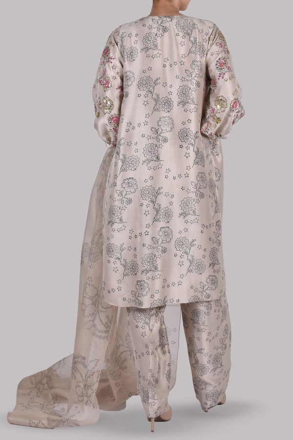 Moonlight Beige Block Printed and Embellished Set - Image 3
