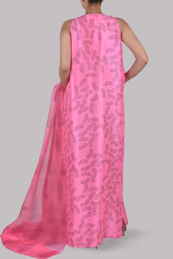 Azalea Pink Block Printed Embellished Maxi Set - Image 3