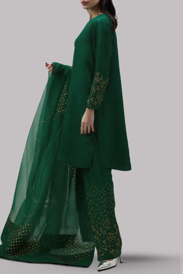 Galapagos Green Embellished Raw Silk Set