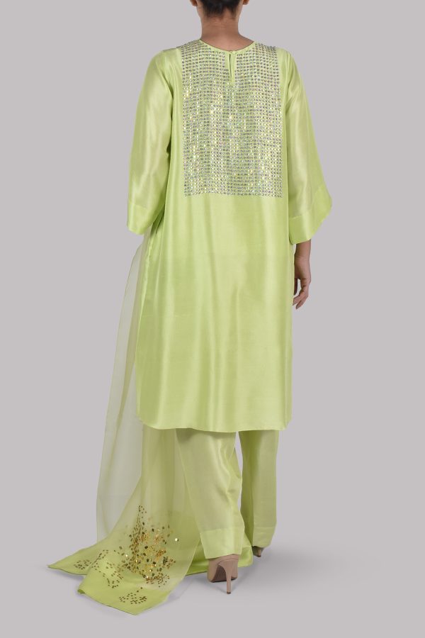 Lime Punch Embellished Raw Silk Set - Image 4