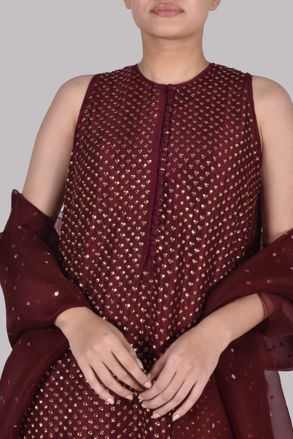 Tawny Port Burgundy Embellished Raw Silk Set - Image 3