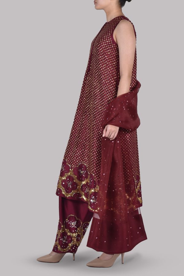 Tawny Port Burgundy Embellished Raw Silk Set - Image 4