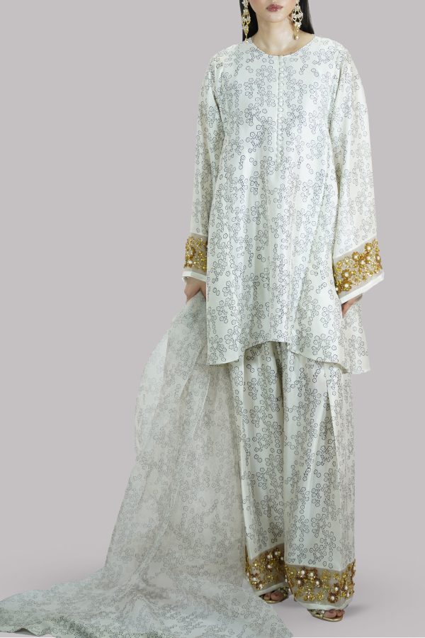 Egret Beige Block Printed and Embellished Raw Silk Set