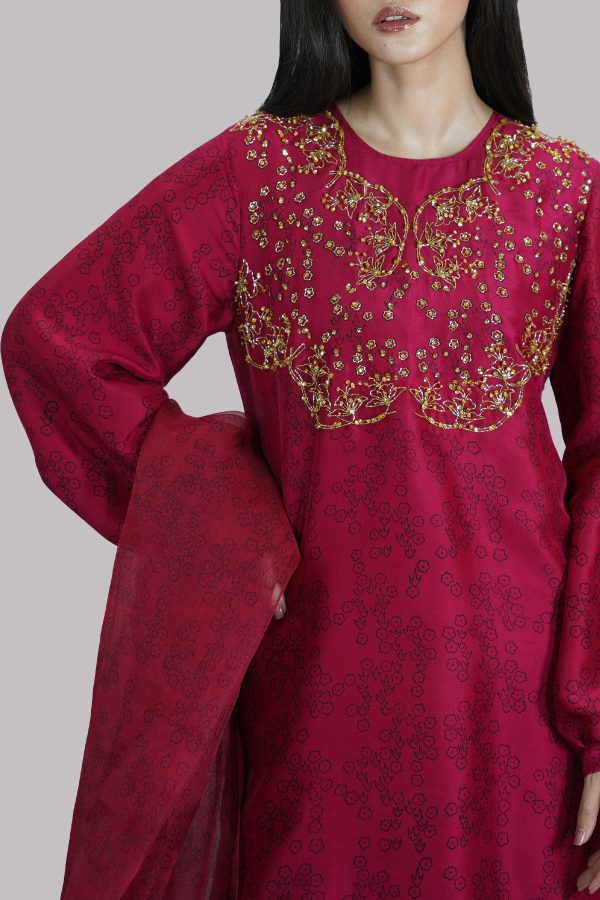 Tango Red Block Printed and Embellished Raw Silk Set - Image 4