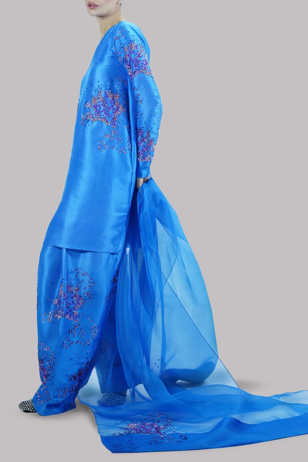 Indigo Bunting  Embellished Raw Silk Set - Image 2