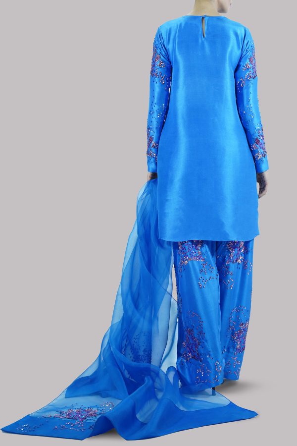 Indigo Bunting  Embellished Raw Silk Set - Image 3