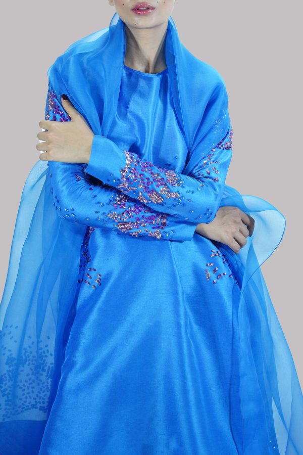 Indigo Bunting  Embellished Raw Silk Set - Image 4