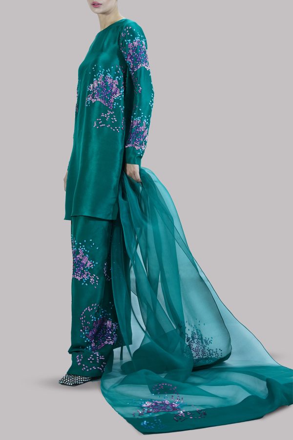 Galapogas Green Embellished Raw Silk Set - Image 2