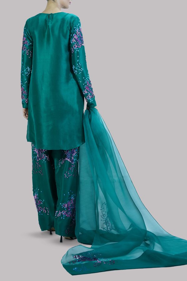 Galapogas Green Embellished Raw Silk Set - Image 3