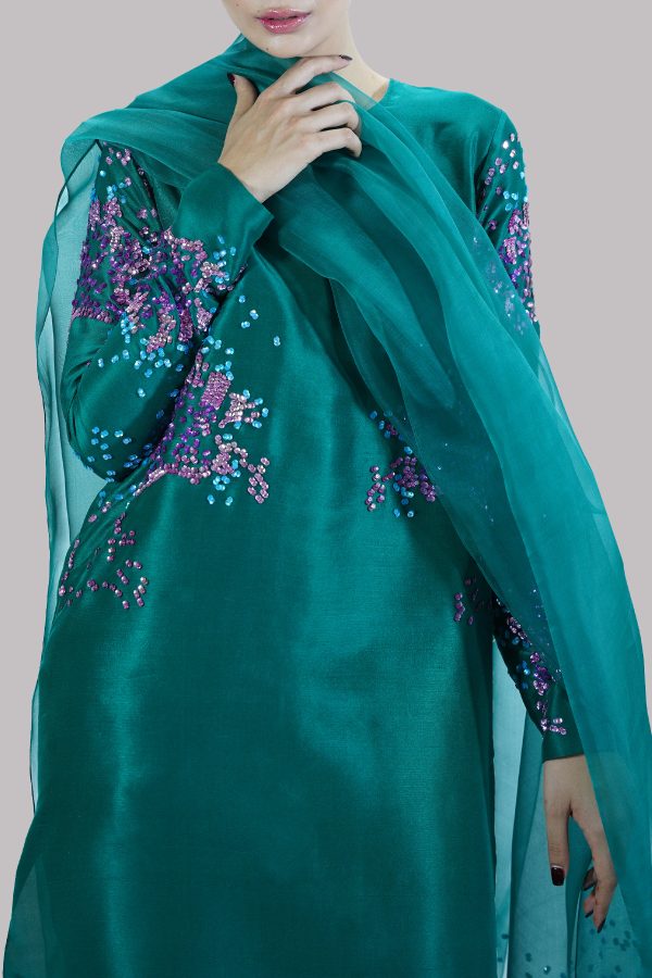 Galapogas Green Embellished Raw Silk Set - Image 4