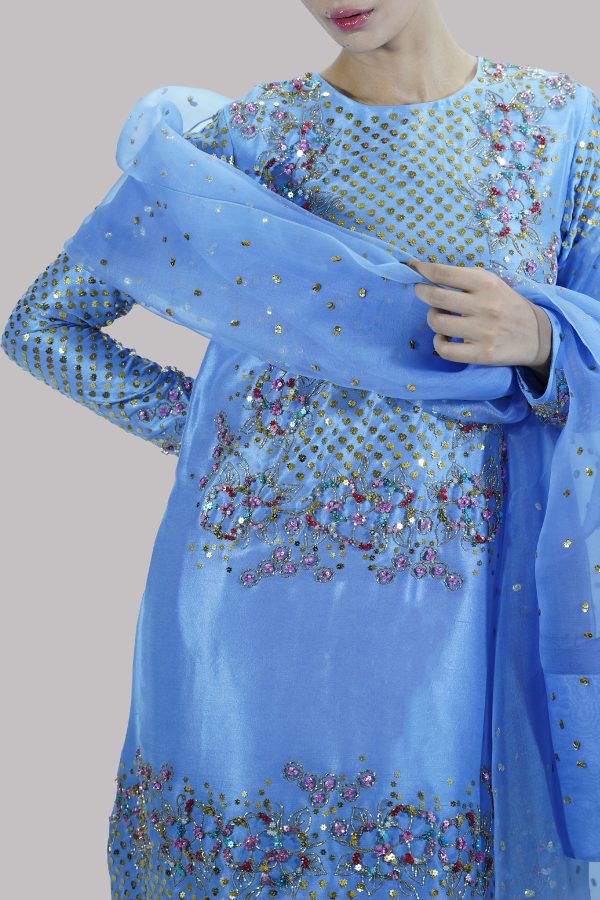 Cornflower Blue  Embellished Raw Silk Set - Image 4