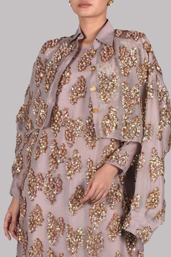 Silver Grey Embellished Maxi Set - Image 5