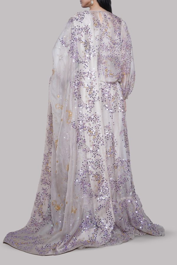 Silver Grey Embellished Organza Skirt Set - Image 3